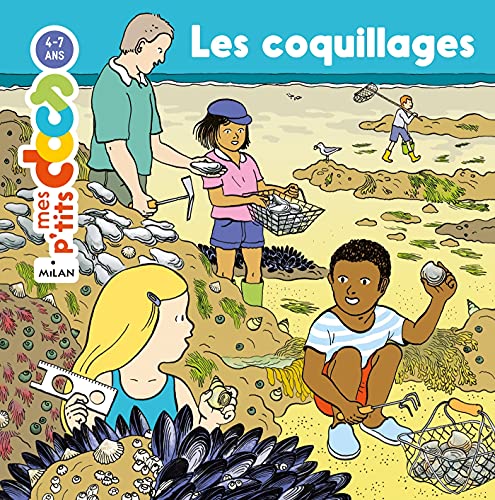 les coquillages.jpg